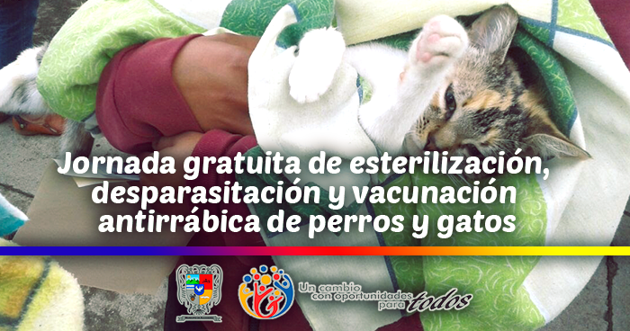 Jornada de esterilizaci�n y vacunaci�n antirr�bica de perros y gatos 